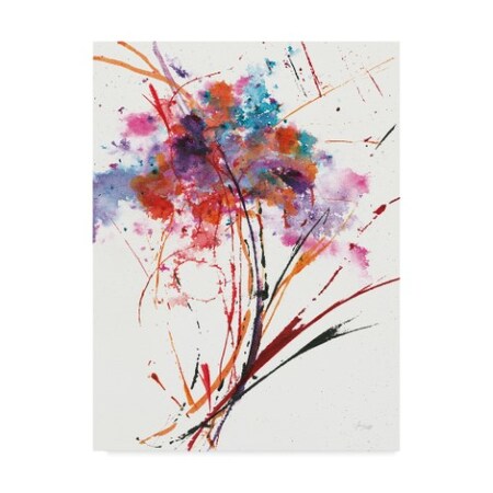 Trademark Fine Art Jan Griggs 'Floral Explosion I on White' Canvas Art, 35x47 WAP03249-C3547GG